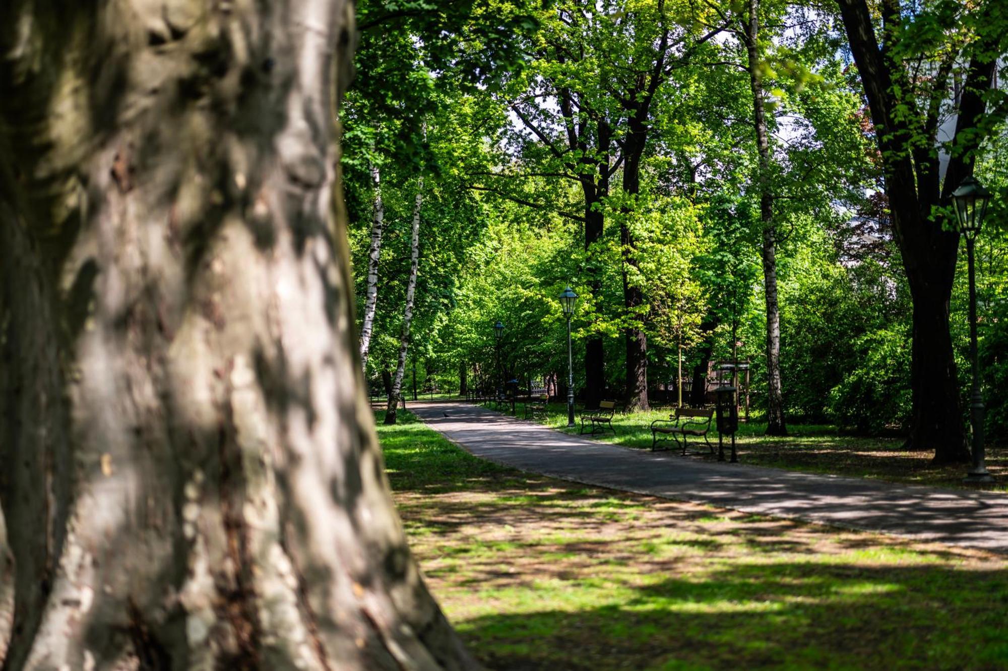 Apartmán Wenecja Parking Gratis Moxy Te&Am Cracow Krakov Exteriér fotografie